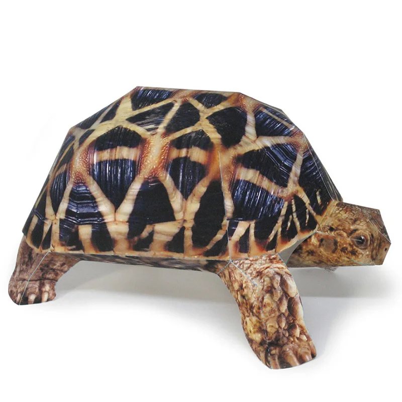 Art And Craft Nature - Indian Star Schildpad Papier Model Realistisch