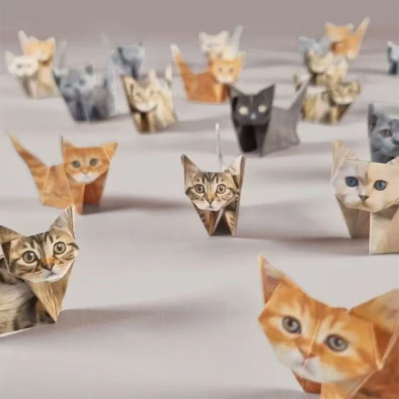 Creatief DIY Origami Handgemaa - Art Craft Birthday Party recensie en prijs