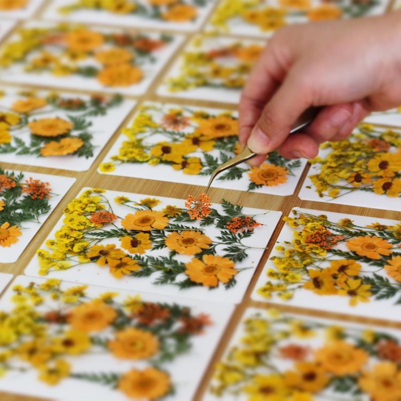 Gedroogde bloemen, echte natuu - Art And Craft Nature recensie en prijs