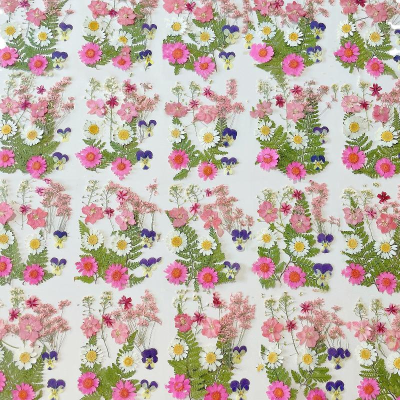 Gedroogde bloemen, echte natuu - Art And Craft Nature recensie en prijs