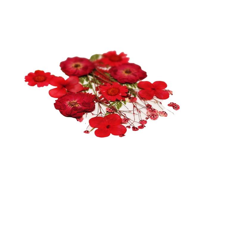Gedroogde bloemen, echte natuu - Art And Craft Nature recensie en prijs