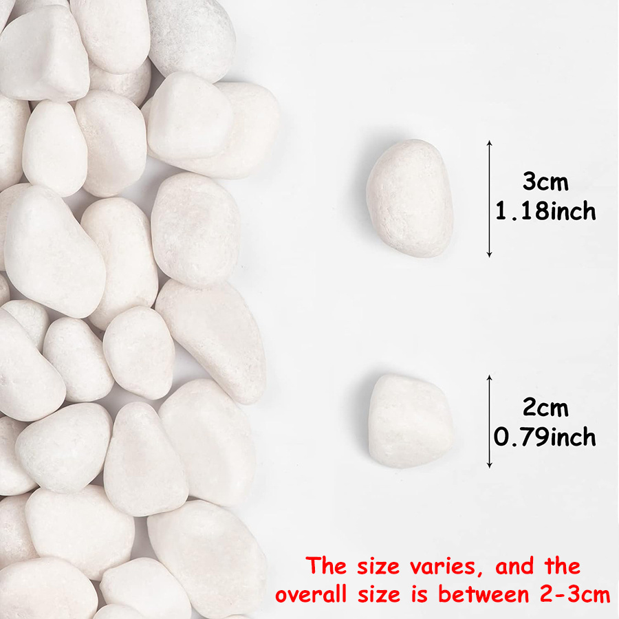 200/400g Witte Hooggepolijste  - Art Craft Vase recensie en prijs