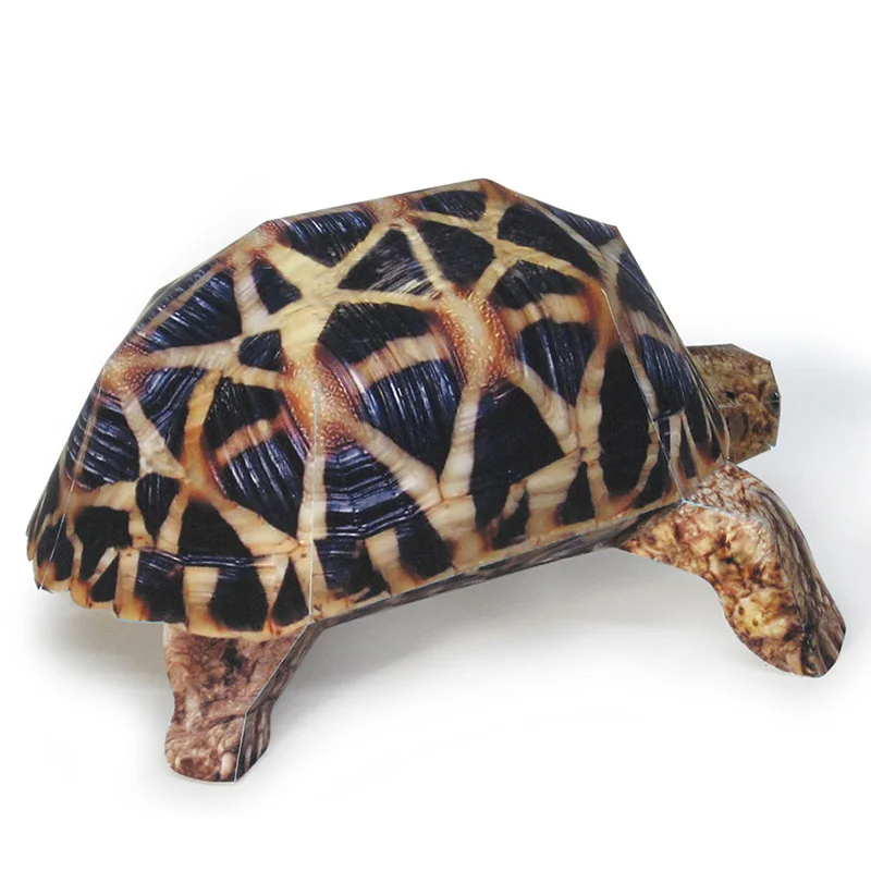 Indian Star Schildpad Papier M - Art And Craft Nature recensie en prijs